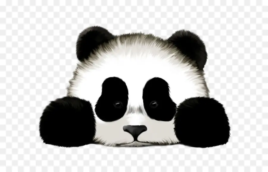 Panda Raksasa，Panda Merah PNG