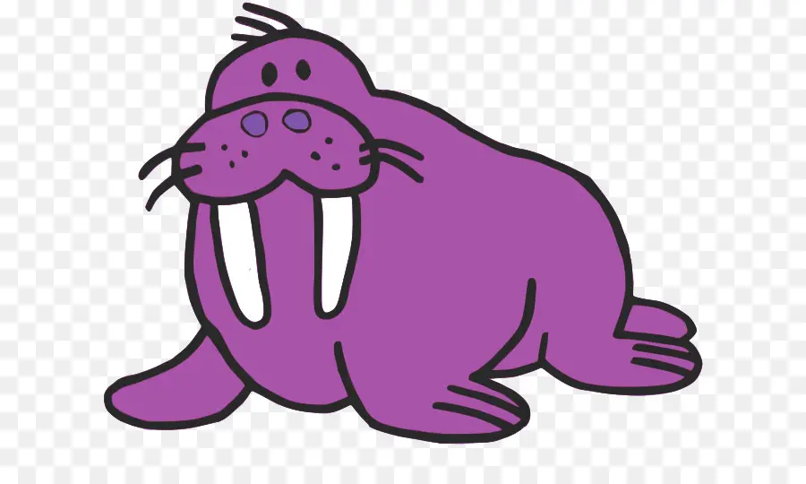 Walrus Ungu，Laut PNG