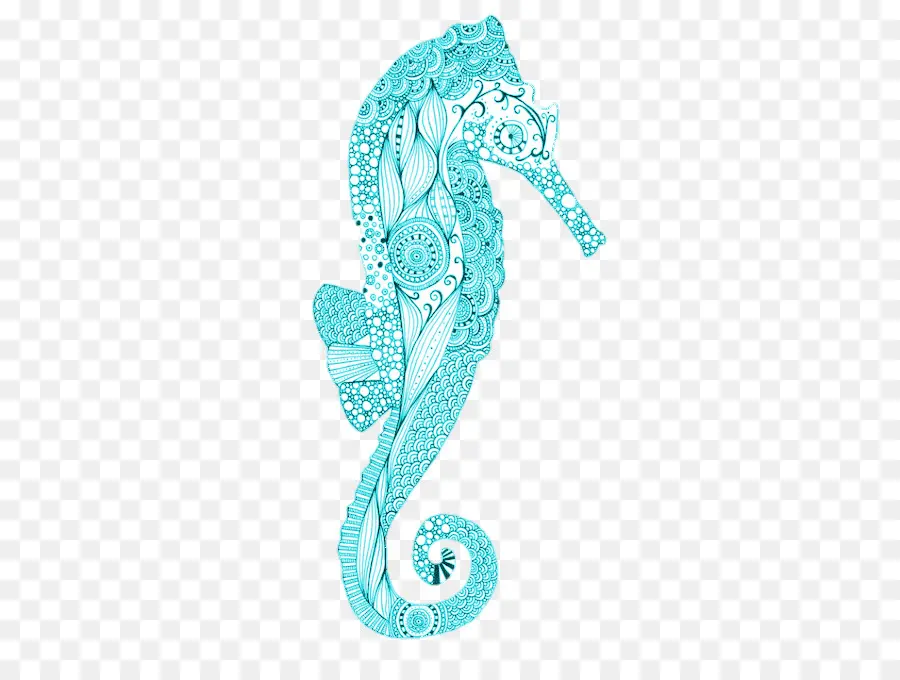 Baru Seahorse Holland，Gambar PNG