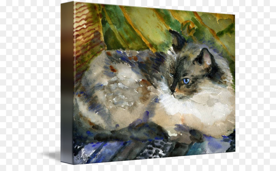 Kucing Siam，Ragdoll PNG