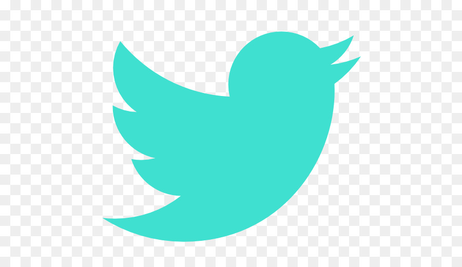 Logo Twitter，Burung PNG