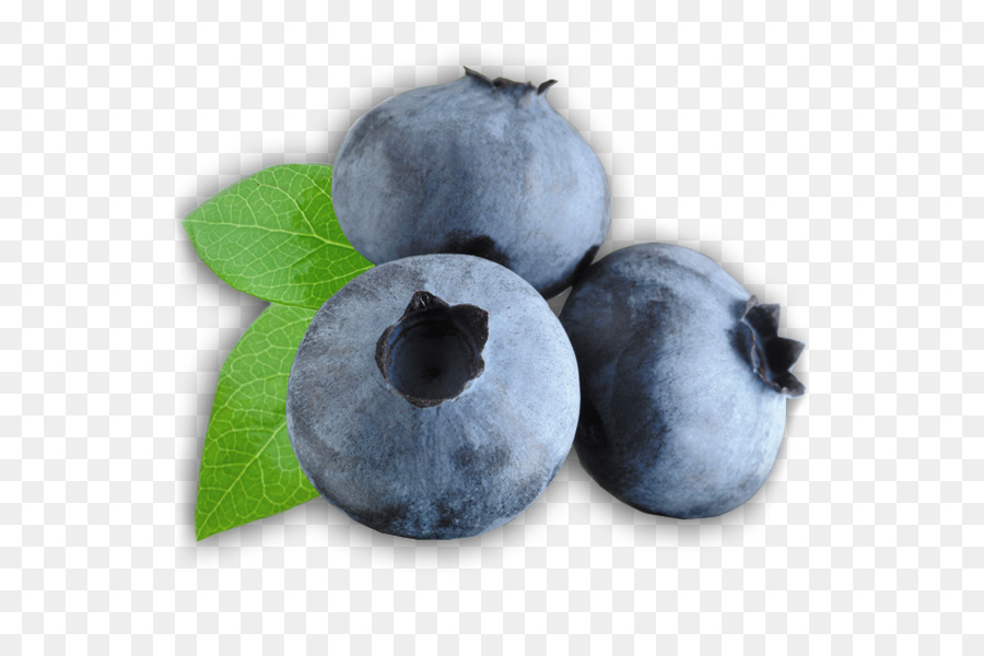 Blueberry，Cheesecake PNG