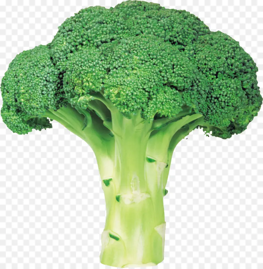 Brokoli Selada Dr Kubis，Brokoli PNG
