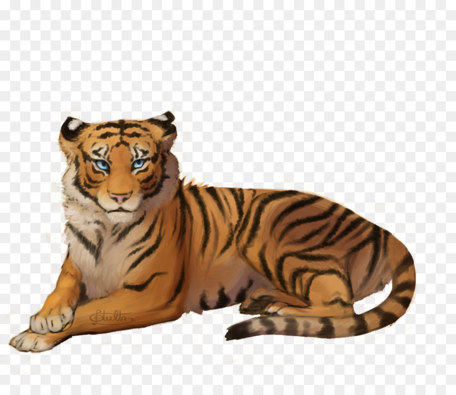 Harimau Putih，Harimau PNG