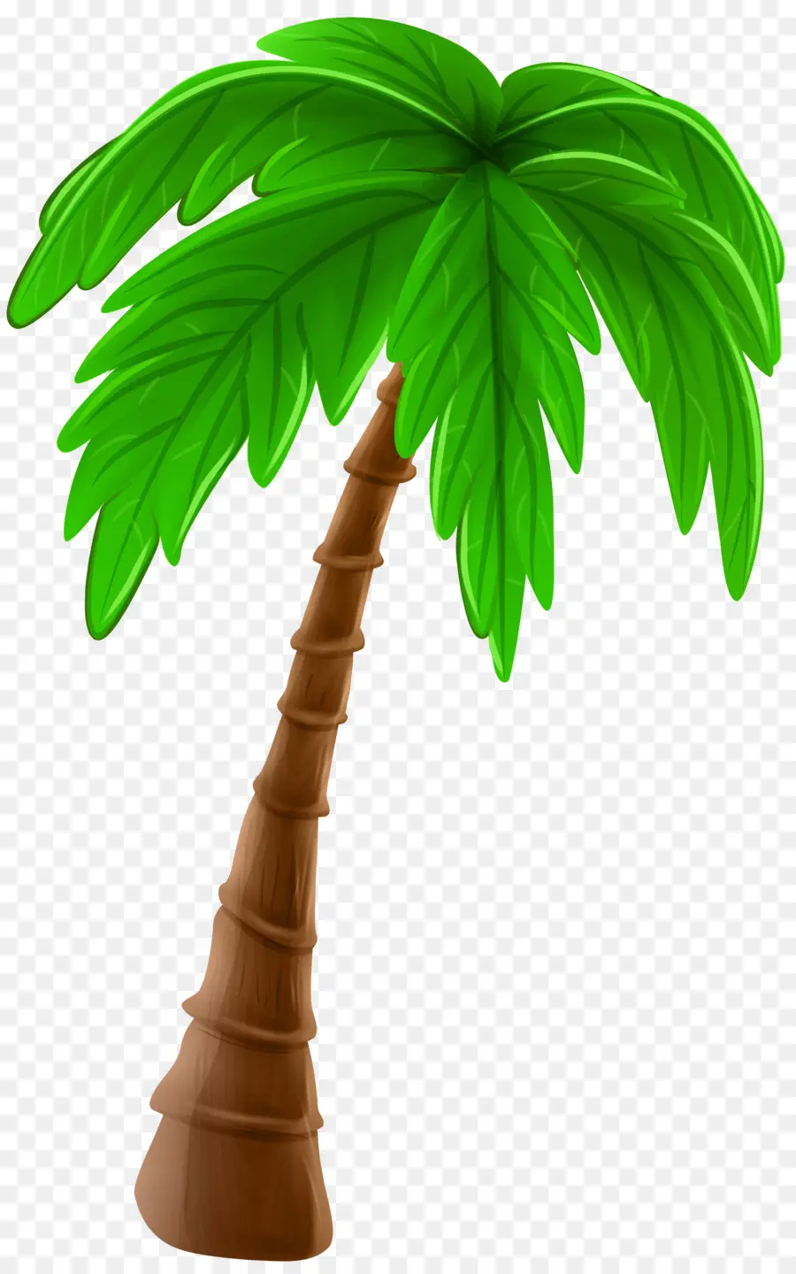 Pohon，Arecaceae PNG