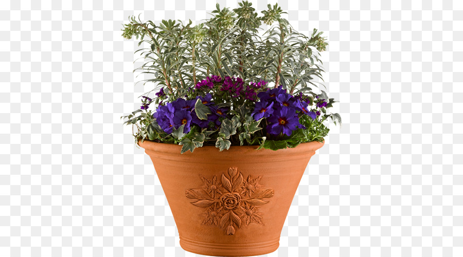 Chelsea Flower Show，Pot Bunga PNG