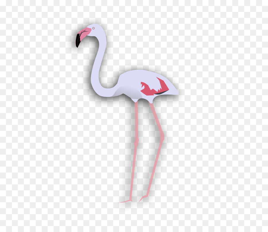 Flamingo，Burung PNG