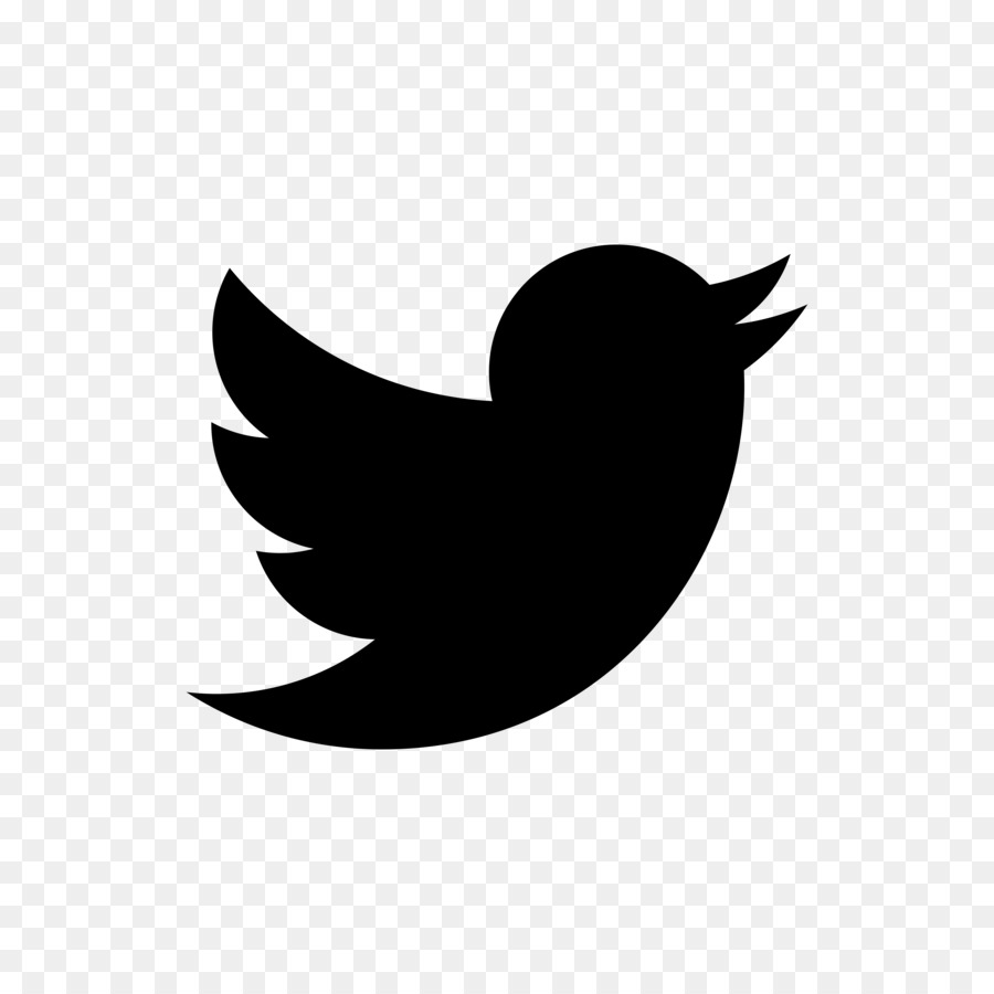 Logo Twitter，Burung PNG