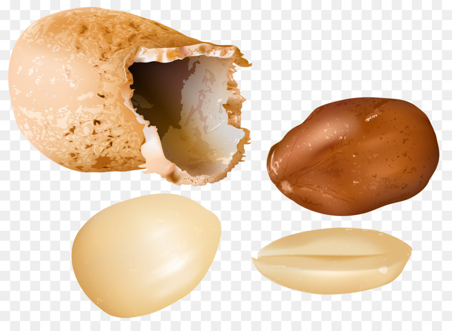 Kacang，Makanan Ringan PNG