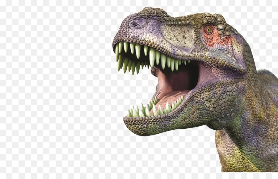 T Rex，Gigi PNG