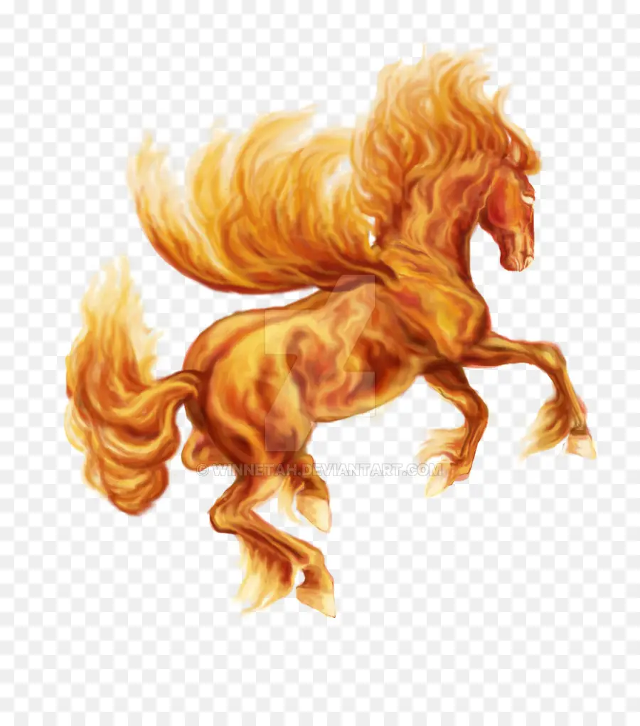 Kuda，Pegasus PNG