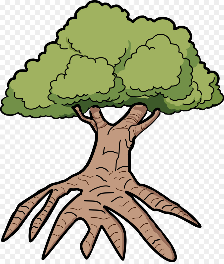 Pohon，Oak PNG