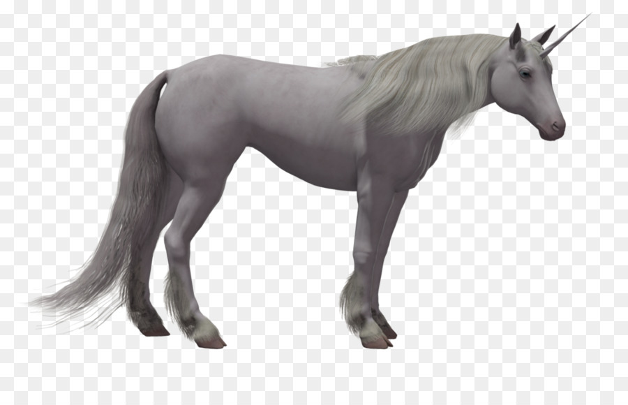 Unicorn，Mitos PNG