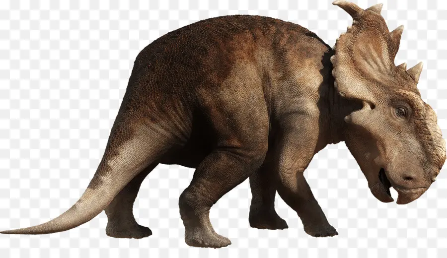 Dinosaurus，Prasejarah PNG