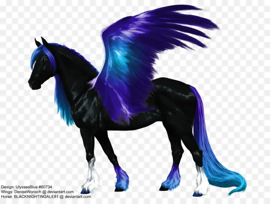 Pegasus Hitam，Sayap PNG