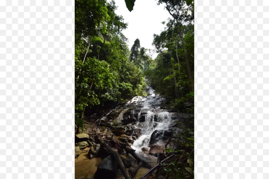 Air Terjun Hutan，Air Terjun PNG