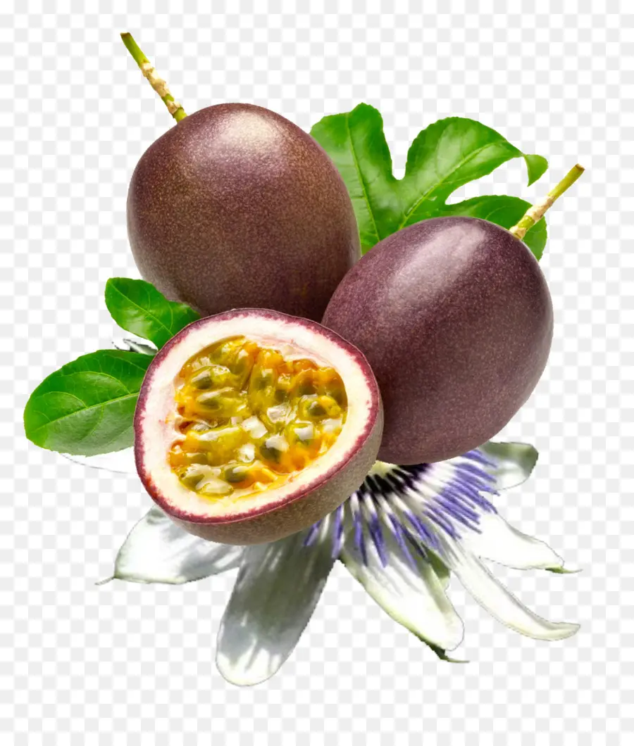 Buah Markisa，Ungu PNG