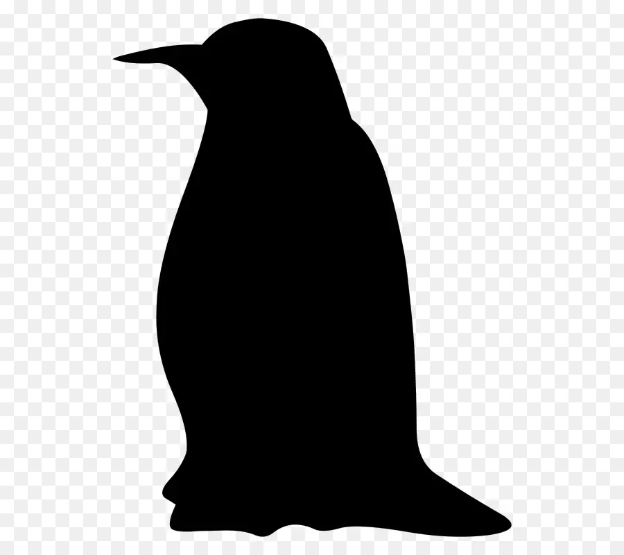 Siluet Pinguin，Hitam PNG