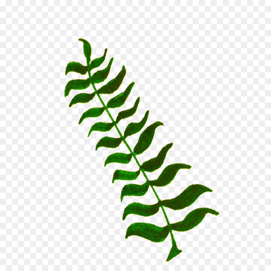 Daun，Pabrik PNG