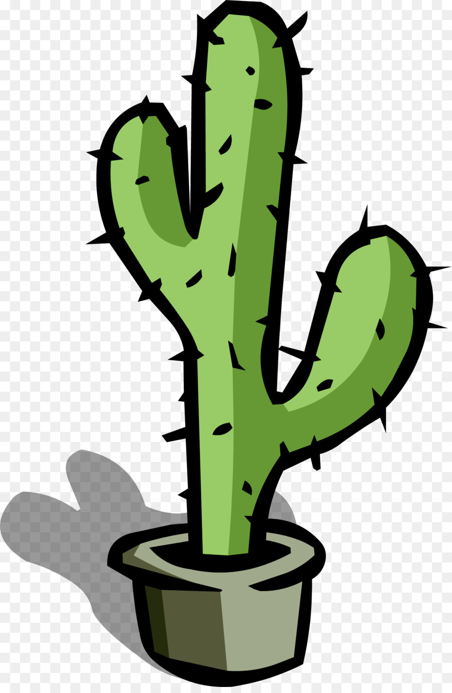 Cactaceae，Desktop Wallpaper PNG