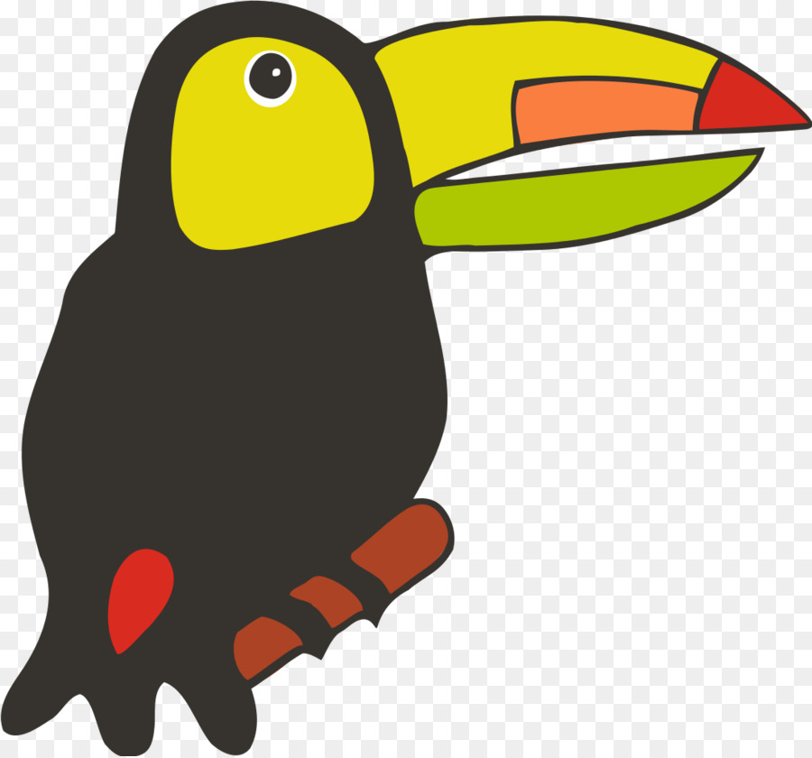 Burung Toucan，Burung PNG