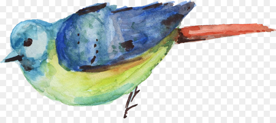 Burung，Lukisan Cat Air PNG