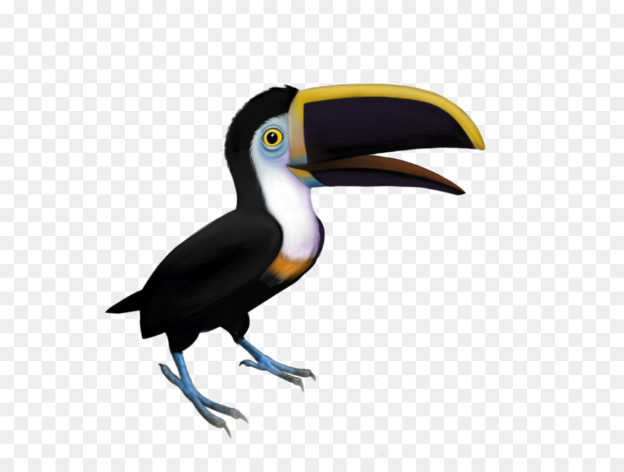 Burung Toucan，Berwarna Warni PNG