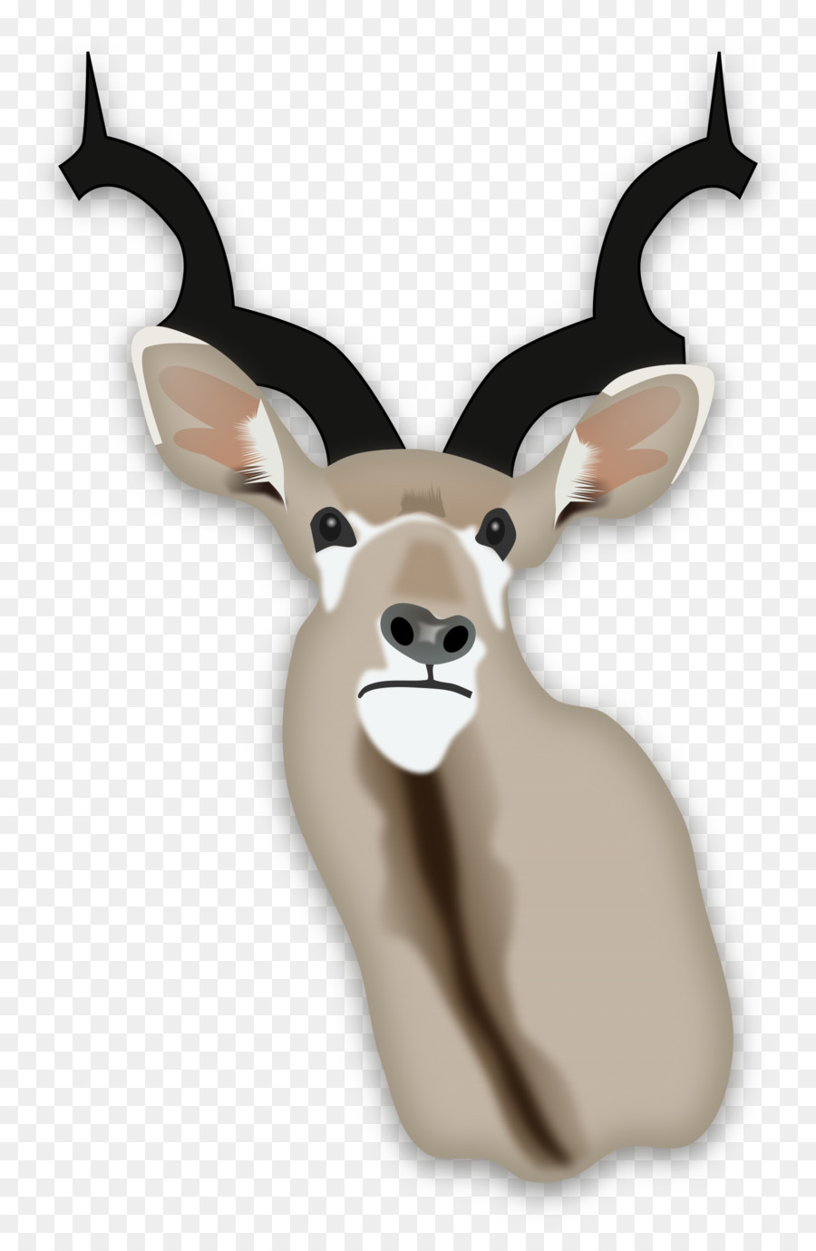 Afrika，Gazelle PNG