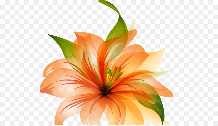 Bunga Desktop Wallpaper Orange Gambar Png