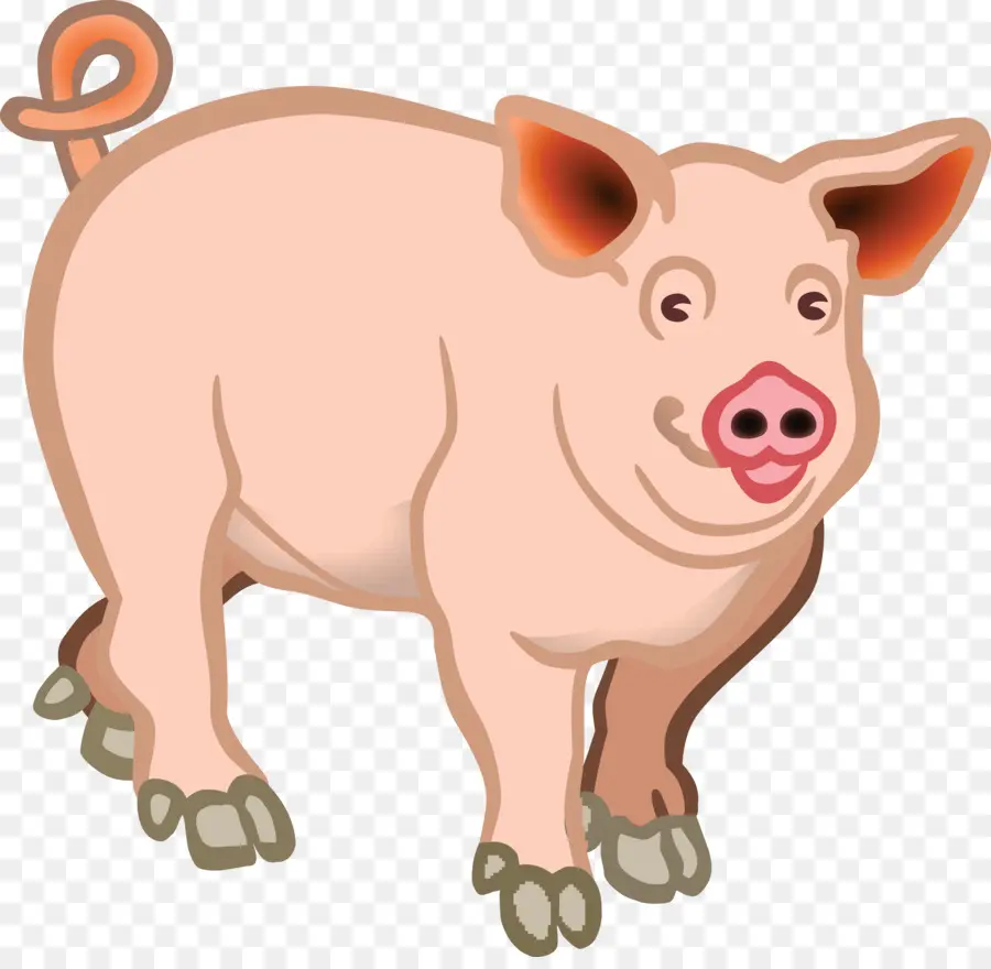 Babi，Peternakan PNG