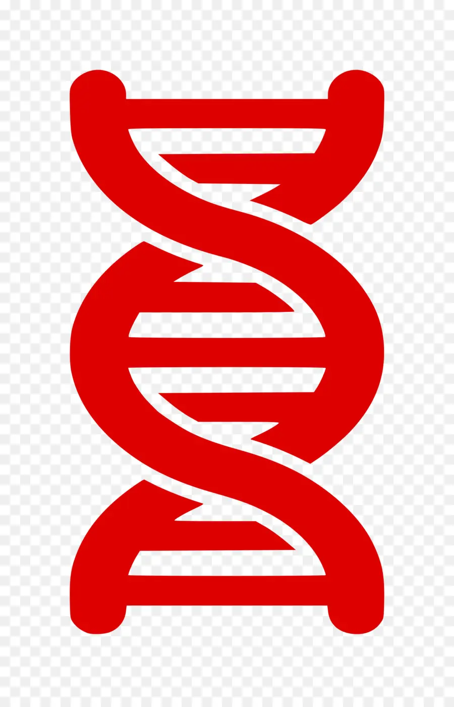 Dna，Asam Nukleat Double Helix PNG