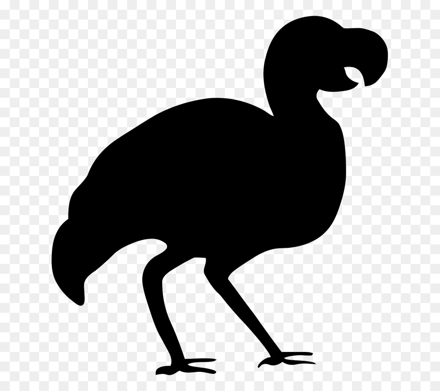 Burung，Dodo PNG