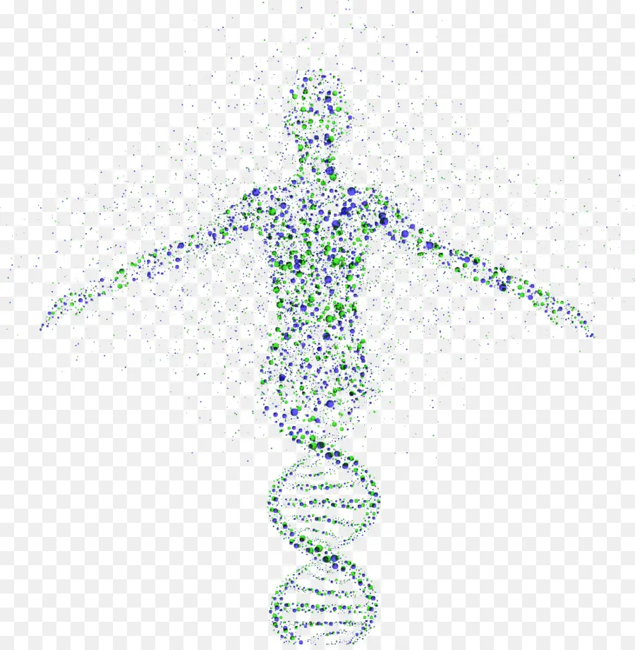 Dna，Genetika PNG