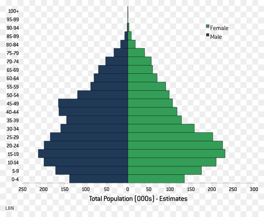 Piramida Penduduk，Demografi PNG