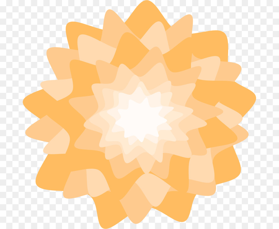 Bunga，Marigold PNG