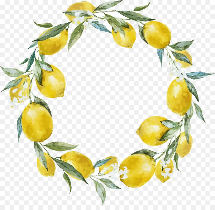 Karangan Bunga Lemon，Lemon PNG