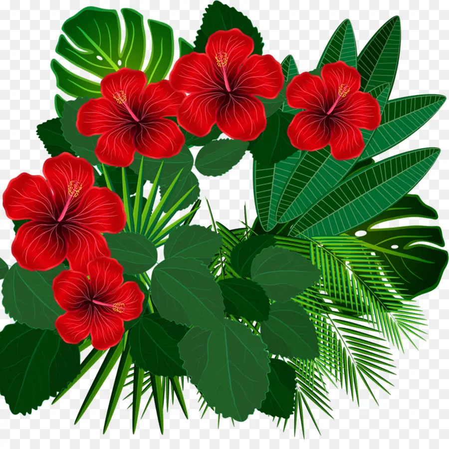 Bunga Merah，Daun Daun PNG