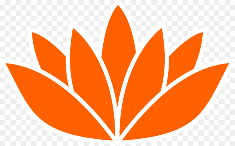 Nelumbo Nucifera，Orange PNG