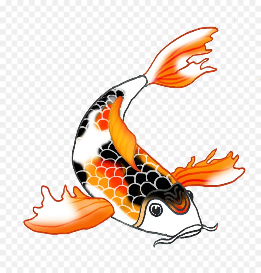 Koi，Ikan PNG