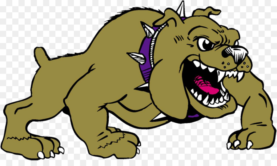 Bulldog，New Haven PNG