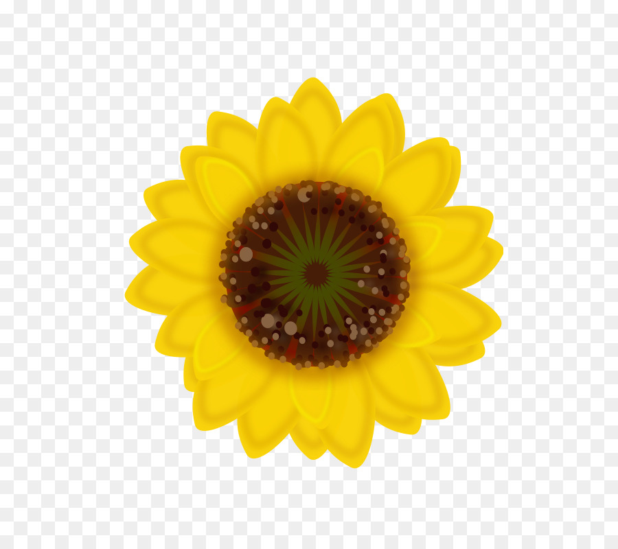 10 Ide Emoji Stiker  Bunga  Matahari Aneka Stiker  Keren