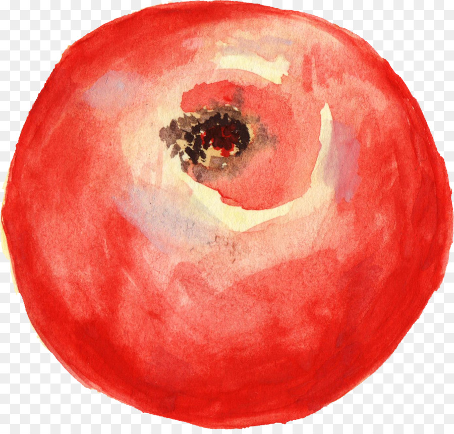 Tomat，Lukisan Cat Air PNG