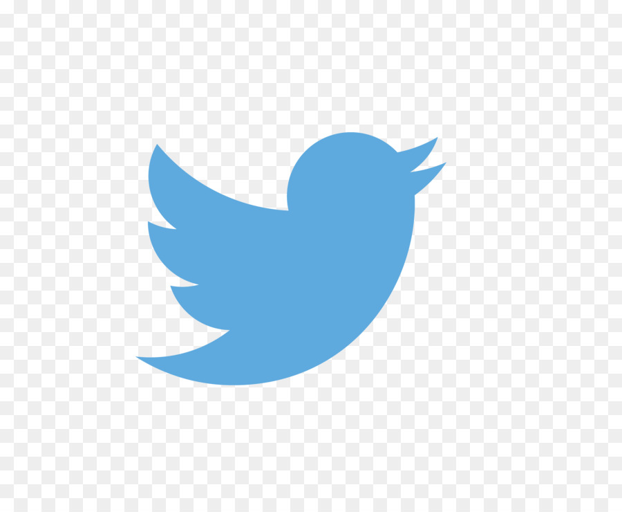 Burung Hitam，Twitter PNG