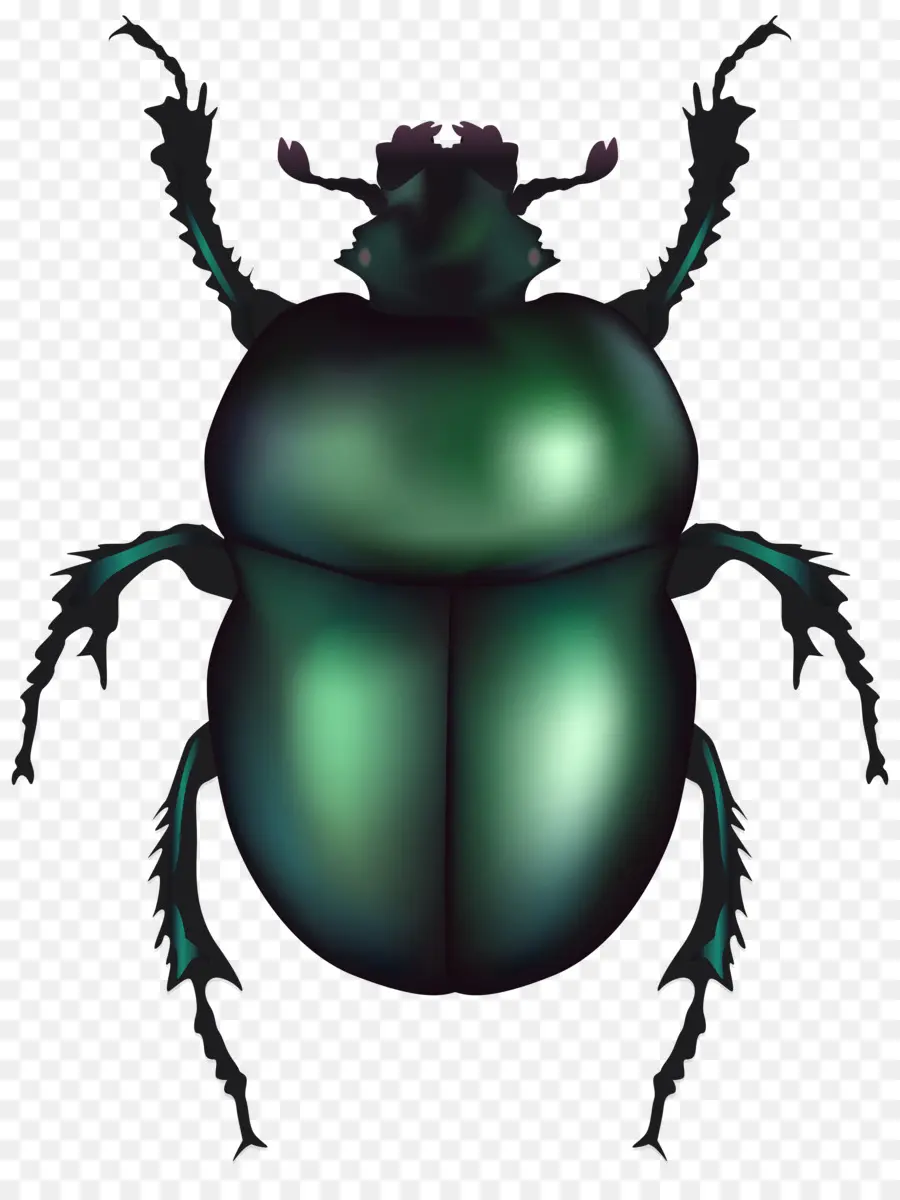 Kumbang，Kumbang Volkswagen PNG