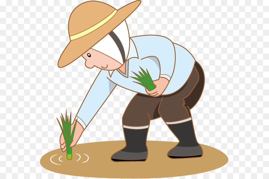 gambar petani menanam padi di sawah kartun  Petani  Pertanian Beras gambar  png