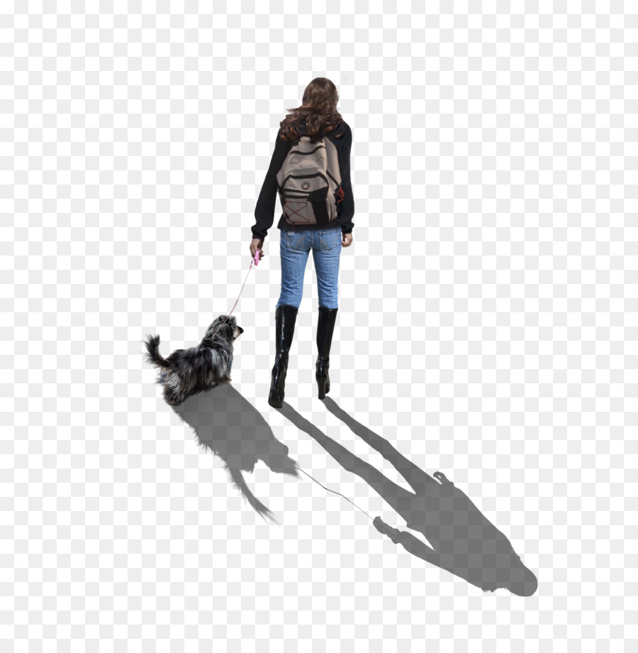 Anjing，Desktop Wallpaper PNG