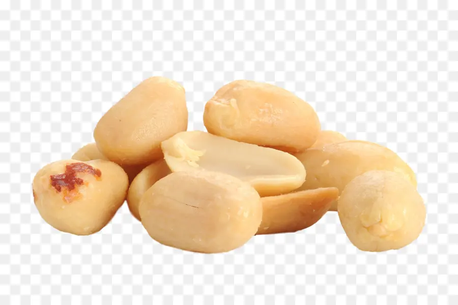 Kacang，Raw Foodism PNG