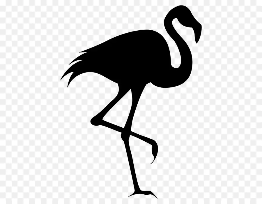 Siluet Flamingo Hitam，Flamingo PNG