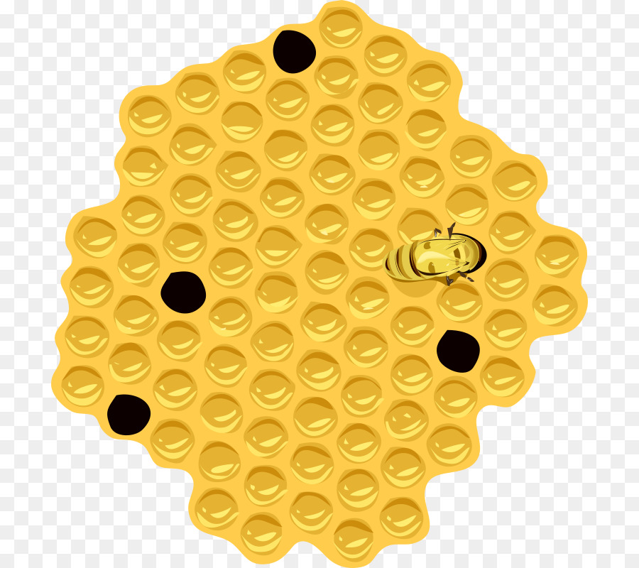  Lebah  Sarang Lebah  Lebah  Madu gambar png