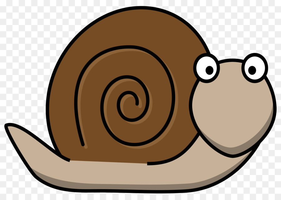 Gastropoda，Siput PNG